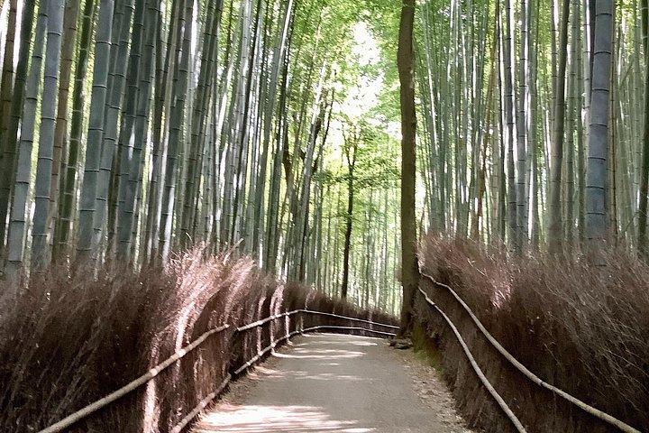 家族や友人のための京都でのパーソナライズされた半日ツアー。