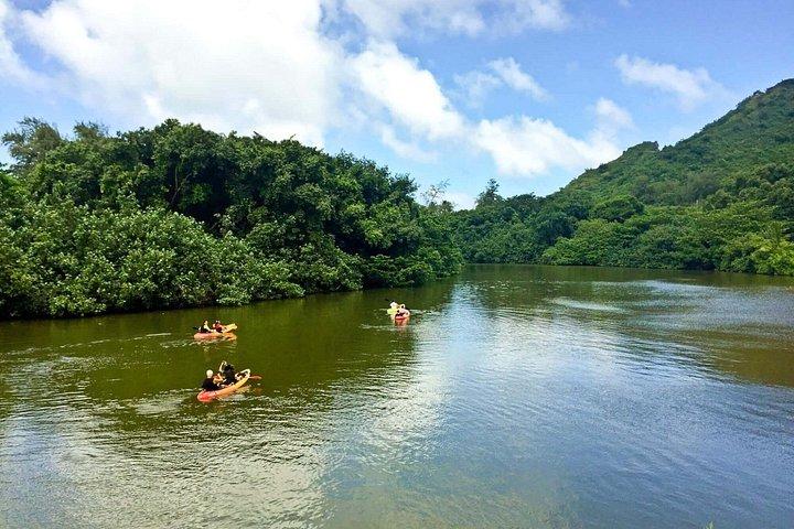 Rainforest River Kayak Self-Guided Kayak Tour