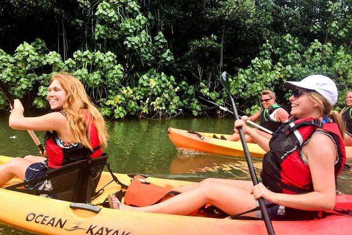 Rainforest River Kayak Self-Guided Kayak Tour