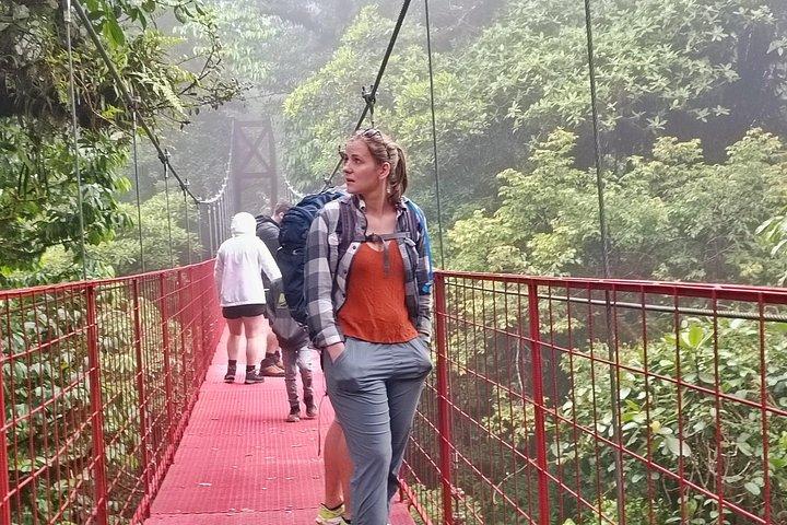 PRIVATE Guided Walk to the Monteverde Cloud Forest Preserve