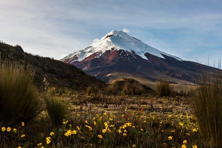 15 - Día Ecuador Aventura Completa : Andes, Amazonas & Galápagos