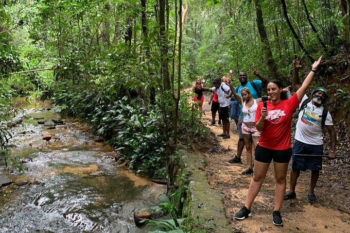 Tijuca Forest Hike - Vandfald og huler, natur og dyreliv!