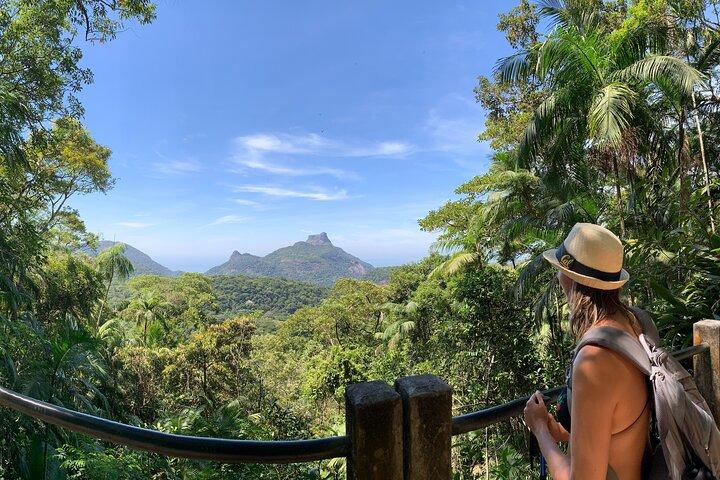 Tijuca Forest Hike - Vandfald og huler, natur og dyreliv!