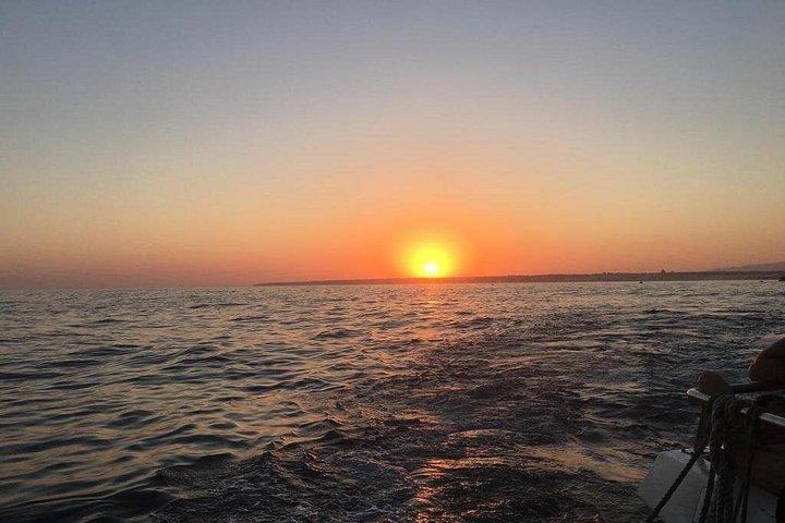 アルブフェイラのベナギル洞窟と海岸線へのツアー