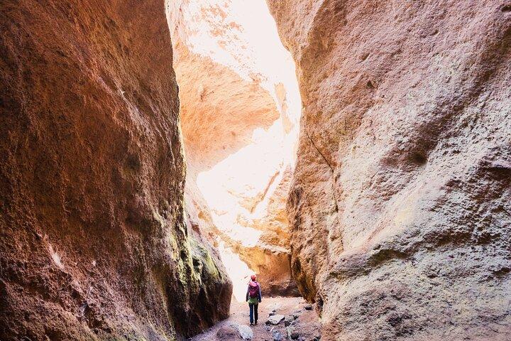 Canyoning en petit groupe d'une demi-journée à La Orotava