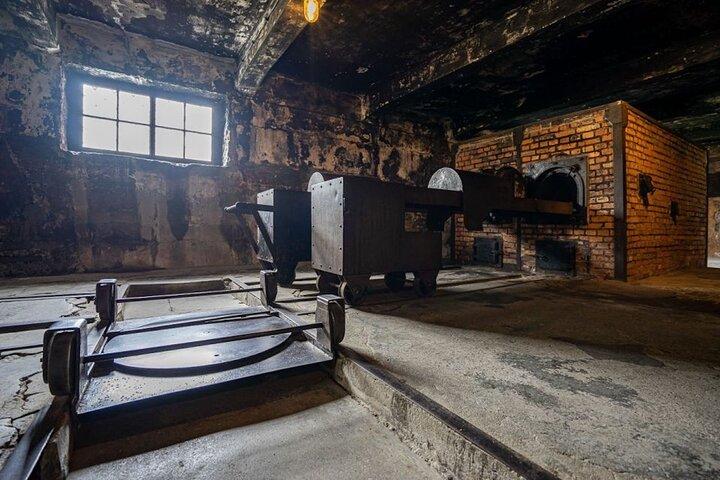 Fra Kraków: Auschwitz-Birkenau tur med afhentning