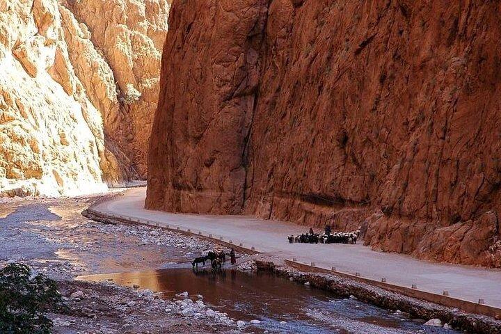 3 Days Marrakech Desert Tour, Desert Camp, Camel Trekking Tour