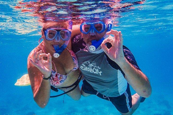 Private Bonaire Snorkeling Experience