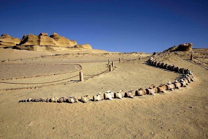 Fayoum Oasis and Waterfalls of Wadi El-Rayan Tour from Cairo