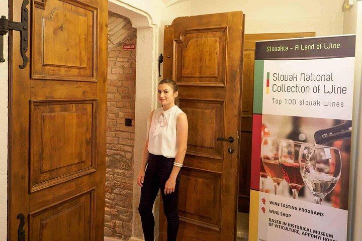 Vinprovning med Sommelier i Bratislava