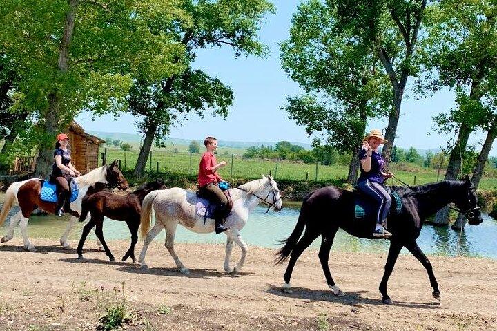 Paseo privado a caballo