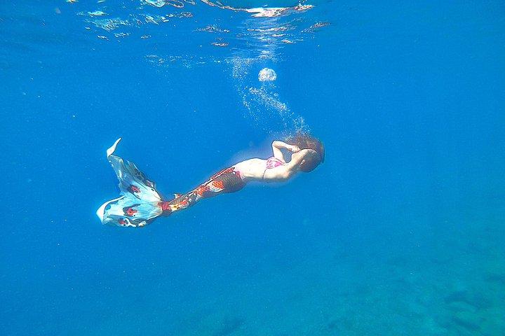 Mezza giornata di sirene e apnea a Tenerife