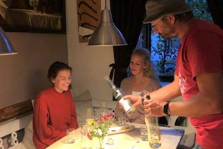 Halvdagstur med økologisk vinsmagning i Bratislava