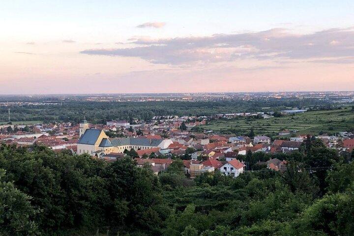 ブラチスラバでのオーガニック ワイン テイスティング付き半日ツアー