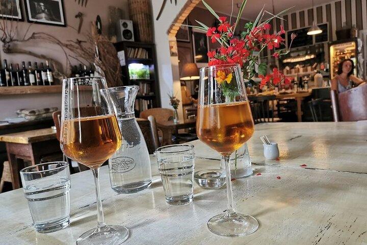ブラチスラバでのオーガニック ワイン テイスティング付き半日ツアー