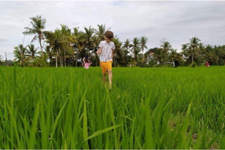 THE LOCAL LIVE STROLL By jambangan bali