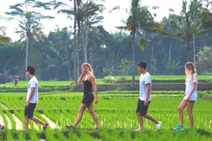 THE LOCAL LIVE STROLL By jambangan bali