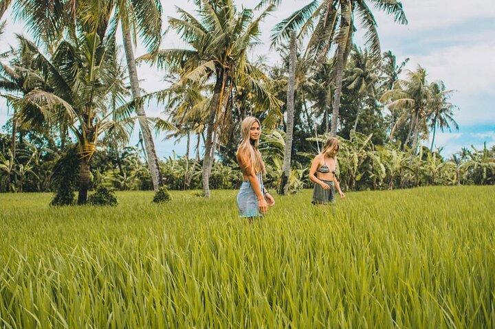 THE LOCAL LIVE STROLL By jambangan bali