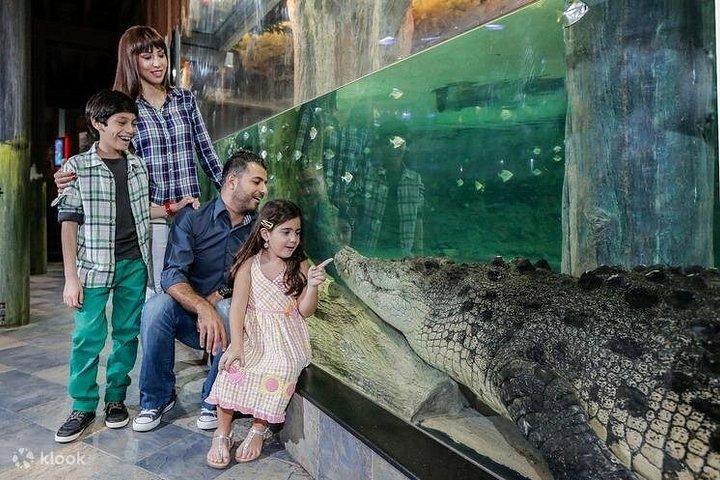 ブルジュ・ハリファとドバイ・モール水族館のチケット（送迎付き）