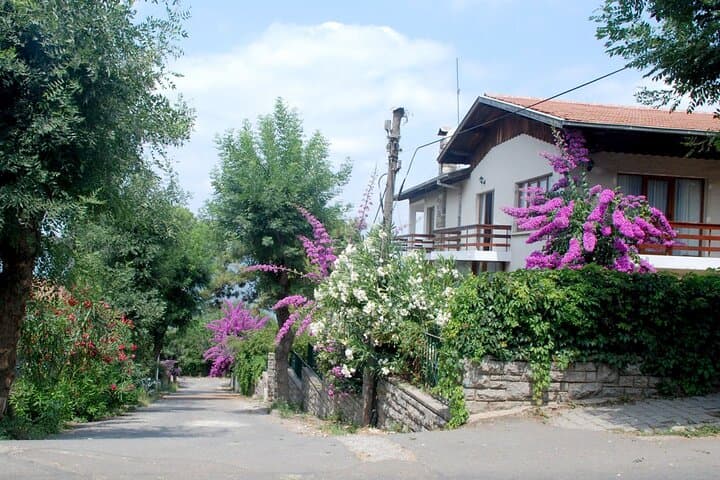 Istanbul: Princes Islands Tour with Hotel Transfer & Lunch