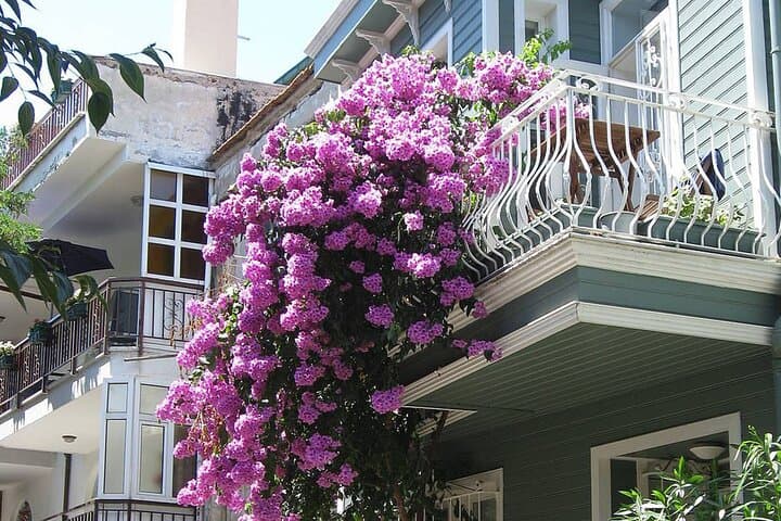 Istanbul: Princes Islands Tour with Hotel Transfer & Lunch