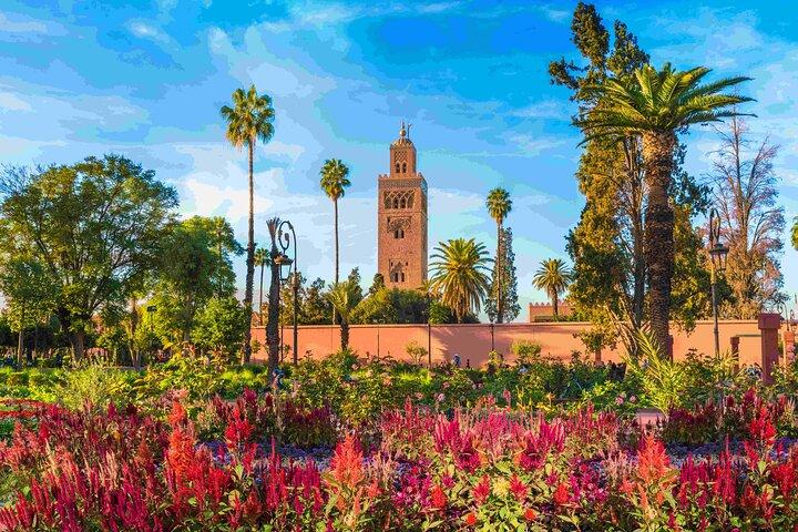 Privat vandretur på de spicy dune i Marrakech