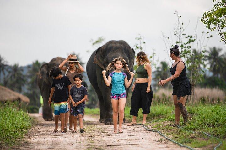 Elephant Jungle Sanctuary: Half Morning Morning Program