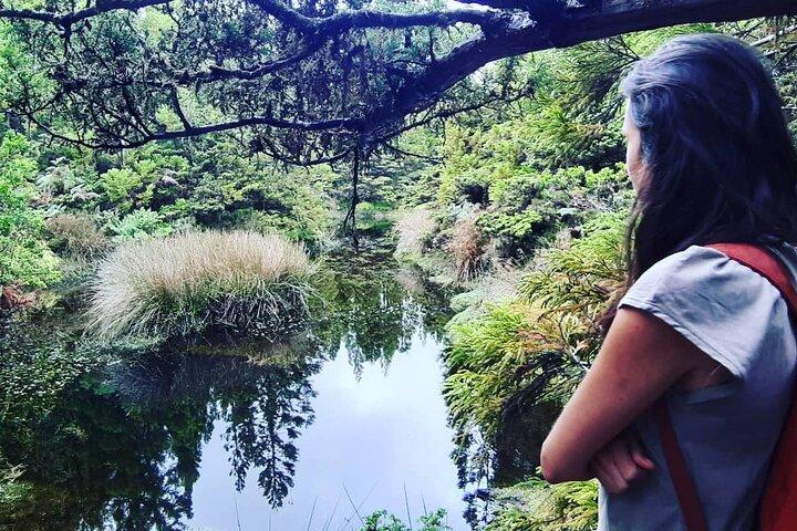 Vandresti Black Mysteries | Terceira-øen