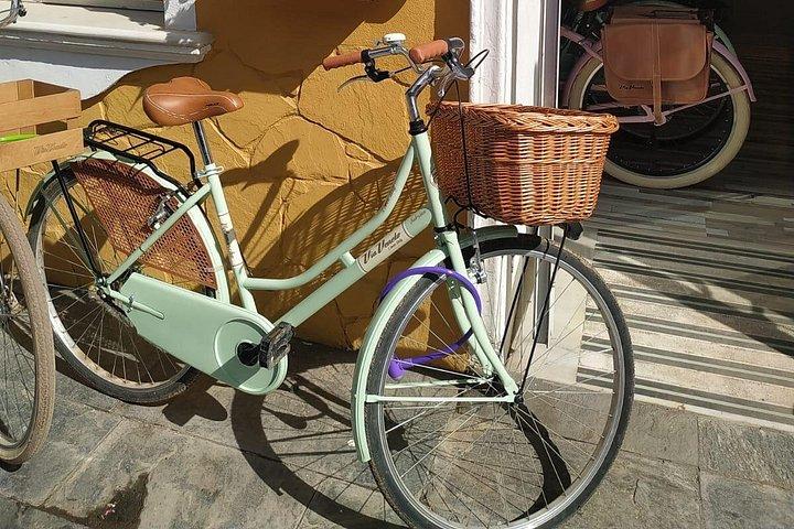 マラガのビンテージ スタイルの自転車レンタル