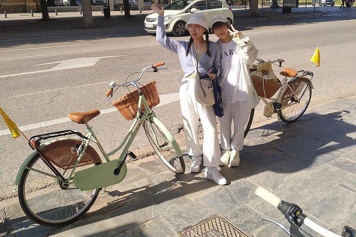 マラガのビンテージ スタイルの自転車レンタル