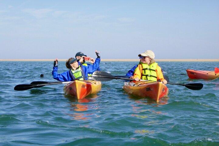 Pelican Point Kayaking Tour de medio día