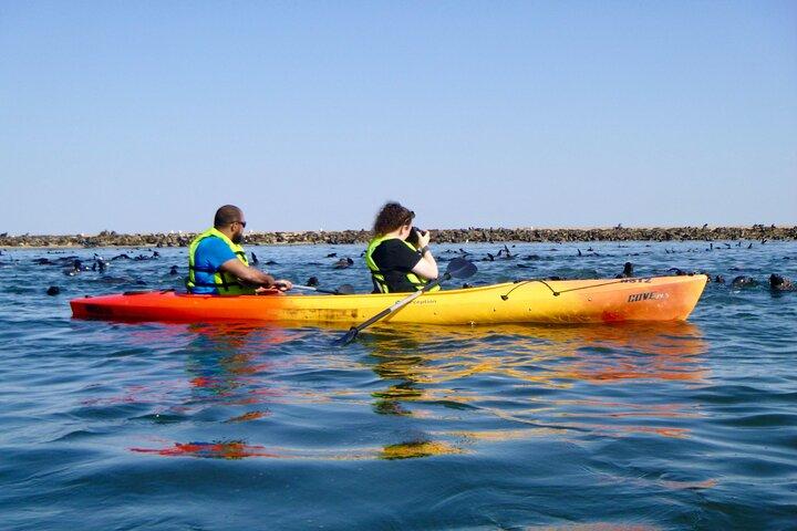 Pelican Point Kayaking Tour de medio día