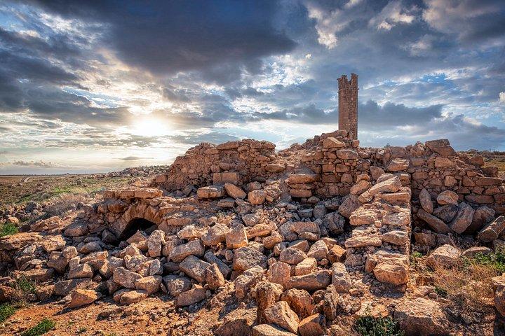 Qasr Bshir、El-Lejjun、Umm Ar-Rasas & Karakへの遠征