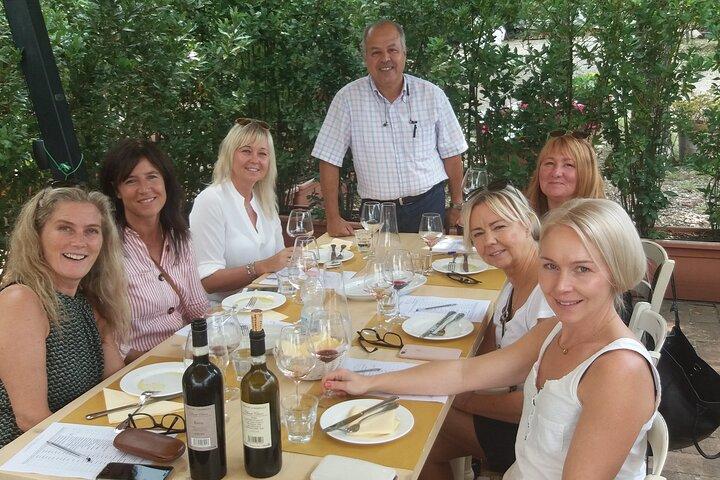 Tour privado en San Gimignano y excursión de un día al Chianti desde Florencia