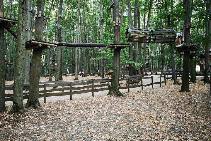 キッズフォレストパラダイス：エデンランドの終日アドベンチャーパーク
