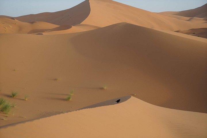 Luxury Overnight From Fez To Merzouga