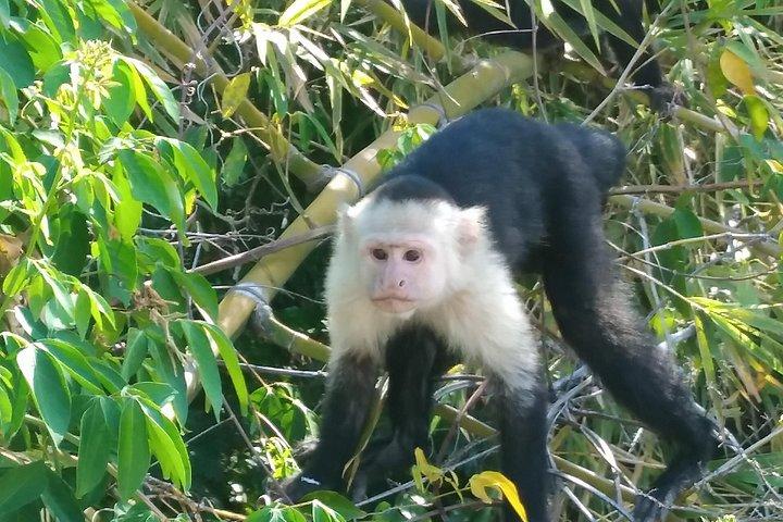 プライベート リンコン デ ラ ビエハ ハイキングと温泉
