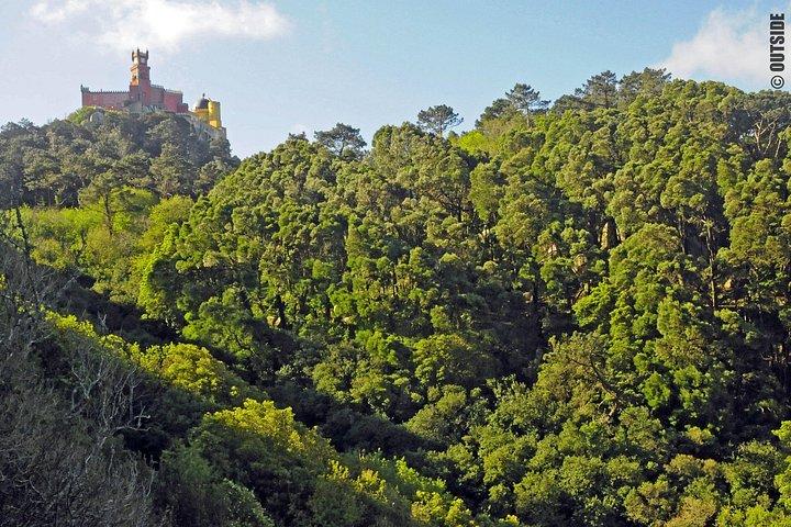 Arrampicata su roccia a Sintra, Lisbona