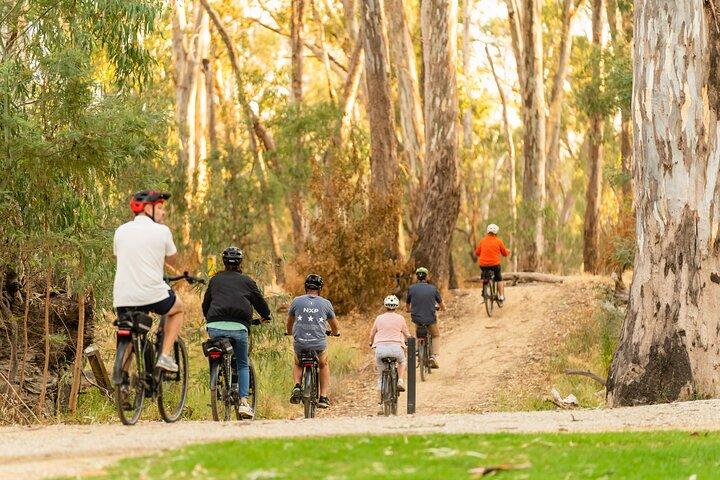 Passeio de bicicleta à vinícola