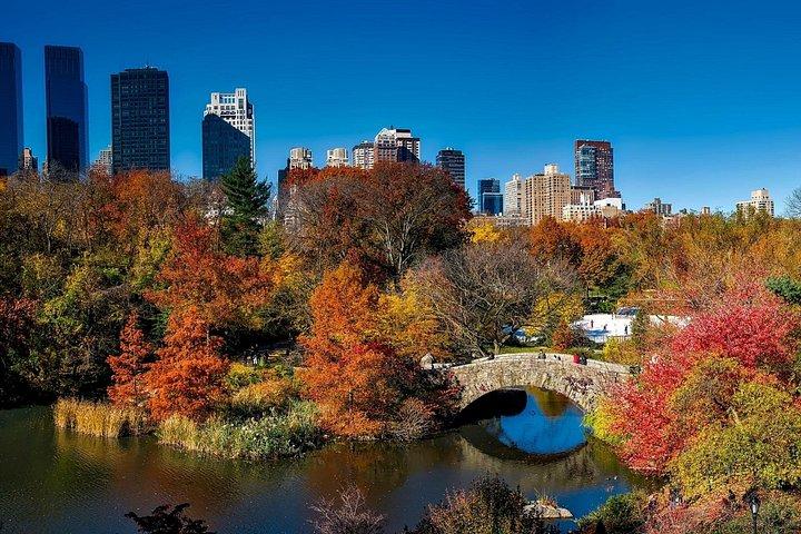 Self Guided Central Park Scavenger Hunt