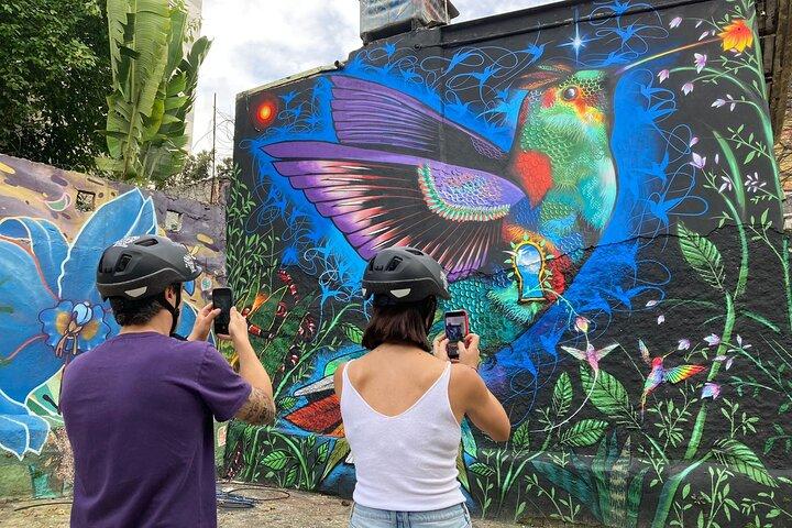 Street Art og Park cykeltur