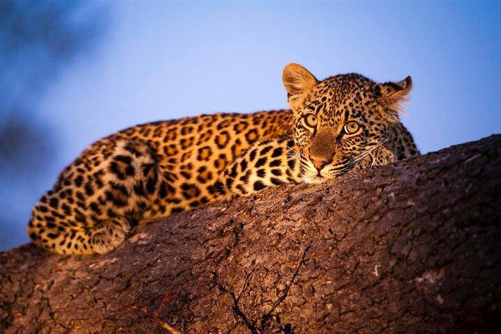 Safari de 3 días en dos parques nacionales