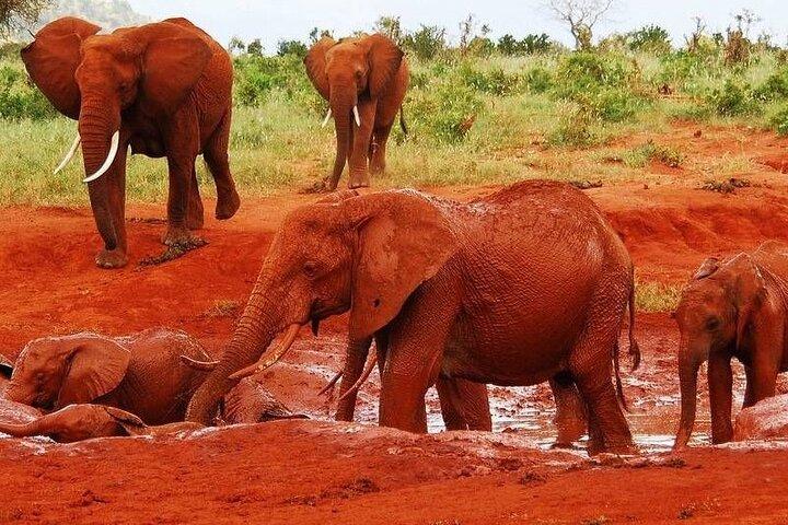 3-dagars privat rundtur i Tsavo East och Tsavo West
