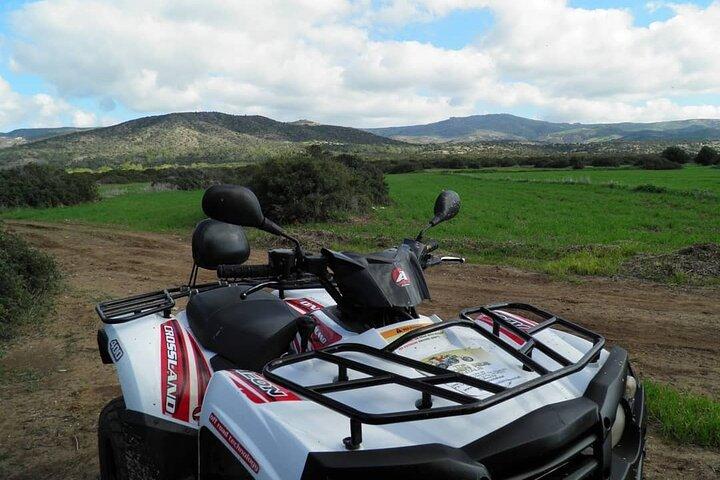 Quad- oder Buggy-Tour von Coral Bay zu Adonis Baths