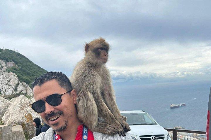 マラガとその周辺からのジブラルタルプライベートツアー
