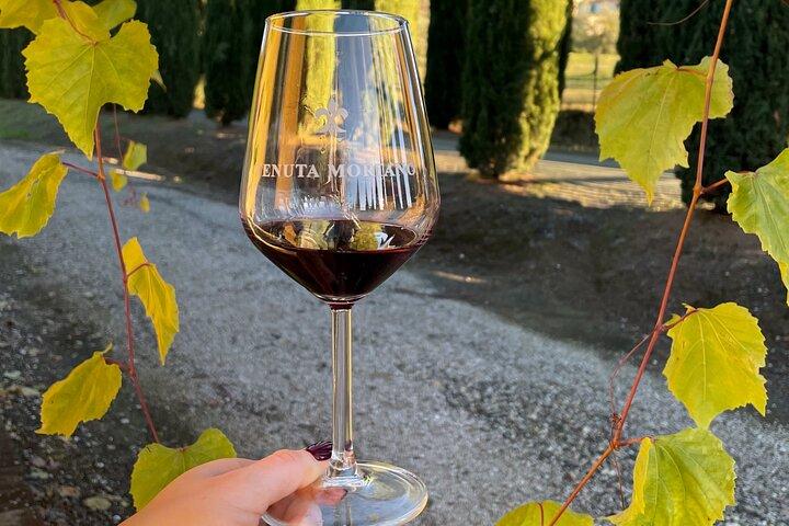 Great wine tasting at Tenuta Moriano