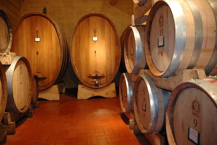 Great wine tasting at Tenuta Moriano