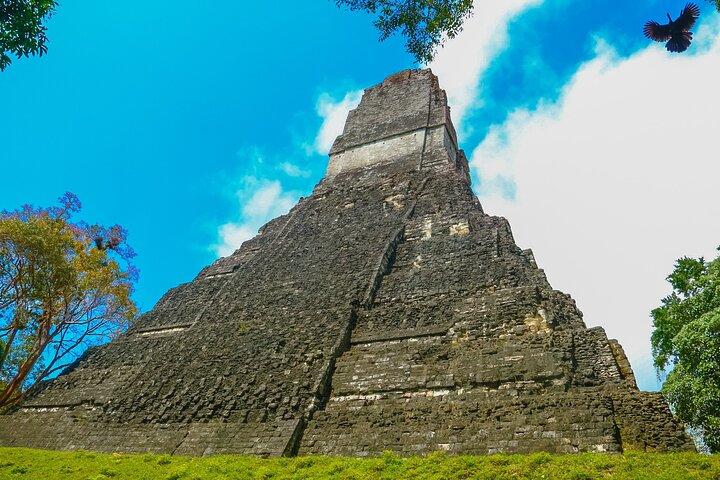 Tikal Maya Temple tour from San Ignacio with sit down lunch