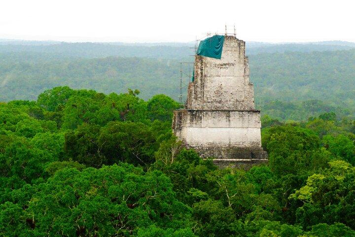 Tikal Maya Temple tour from San Ignacio with sit down lunch