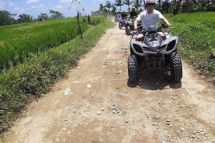バリ ATV クワッド バイク (滝とバトゥール日の出トレッキング付き)